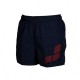 Шорты Arena BOYS BEACH LOGO 005262-700