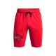 Шорты Under Armour UA Rival Try Athlc Dept Sts 1370356-600