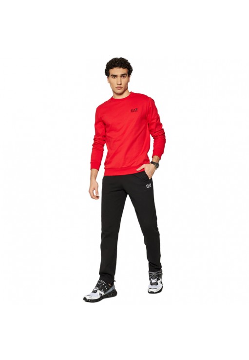 Брюки EA7 EMPORIO ARMANI PANTALONI