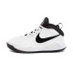 Кроссовки Nike TEAM HUSTLE D 9 GS AQ4224-100
