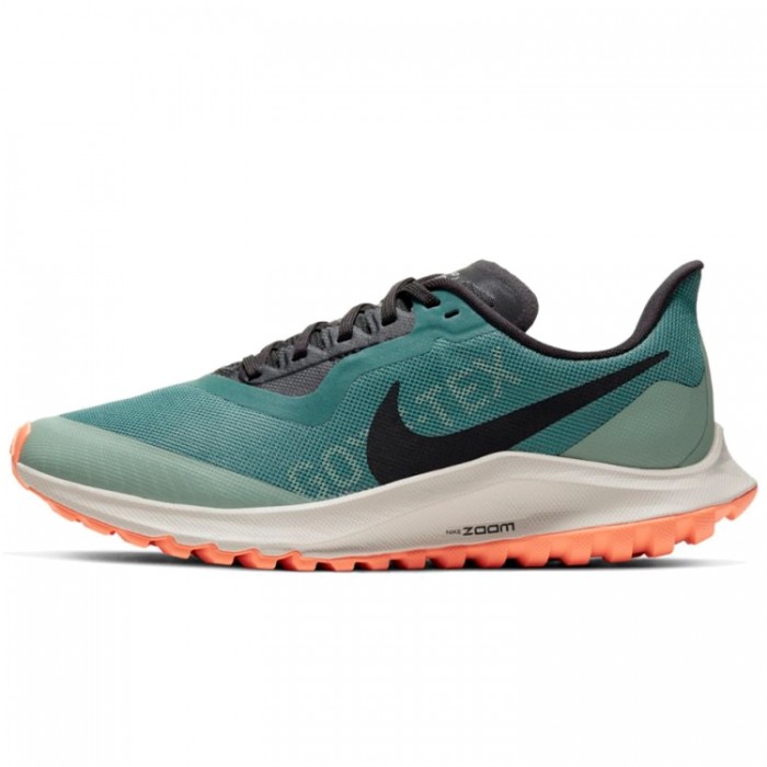 Incaltaminte Sport Nike W ZOOM PEGASUS 36 TRAIL GTX BV7763-300