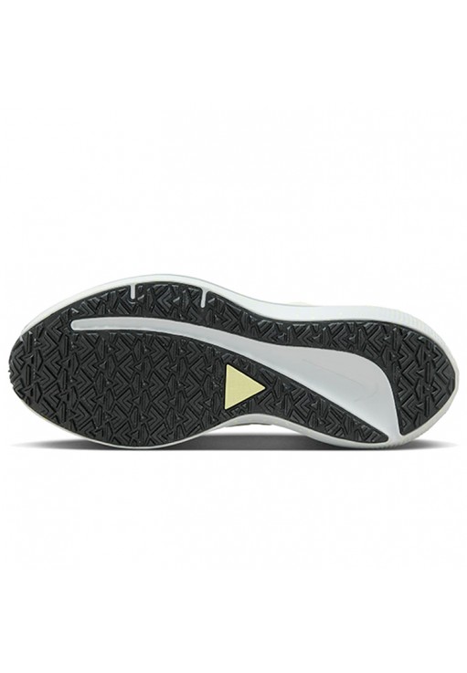 Кроссовки Nike WMNS AIR WINFLO 9 SHIELD