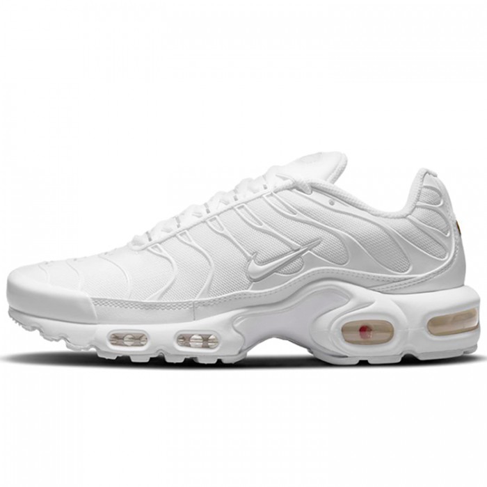 Кроссовки Nike WMNS AIR MAX PLUS DM2362-100