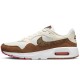 Кроссовки Nike AIR MAX SC SE DX9501-100