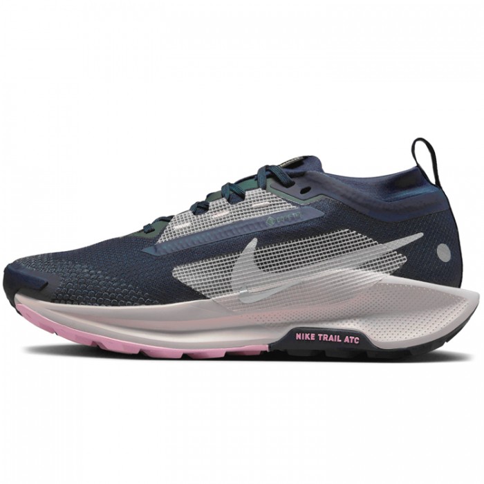 Incaltaminte Sport Nike W PEGASUS TRAIL 5 GTX FQ0912-400