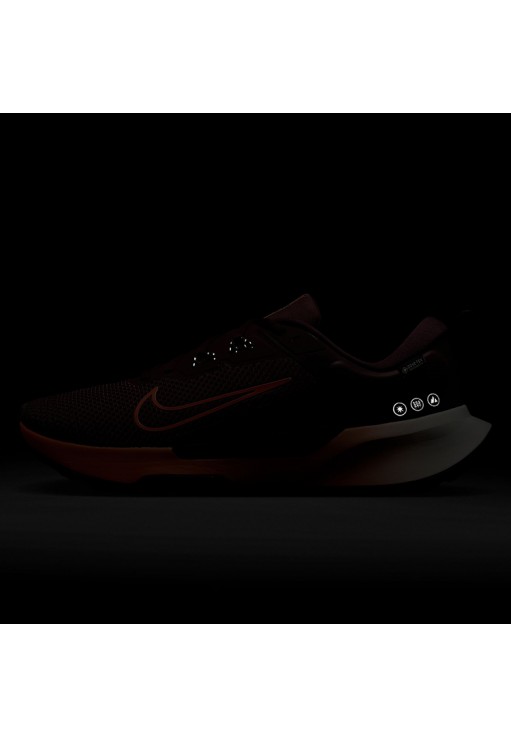Кроссовки Nike JUNIPER TRAIL 2 GTX V2