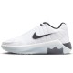 Кроссовки Nike LEBRON WITNESS IX (GS) HV2270-100