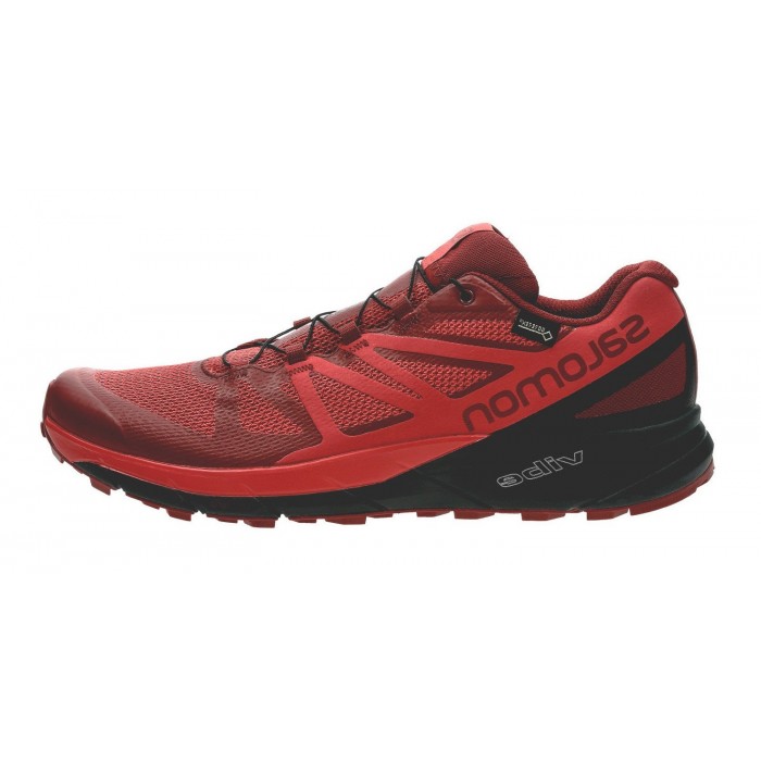 Incaltaminte Sport Salomon SENSE RIDE GTX INVISIBLE FIT RD D L40494000