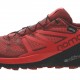 Incaltaminte Sport Salomon SENSE RIDE GTX INVISIBLE FIT RD D L40494000