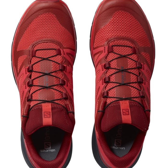 Incaltaminte Sport Salomon SENSE RIDE GTX INVISIBLE FIT RD D L40494000 - 2