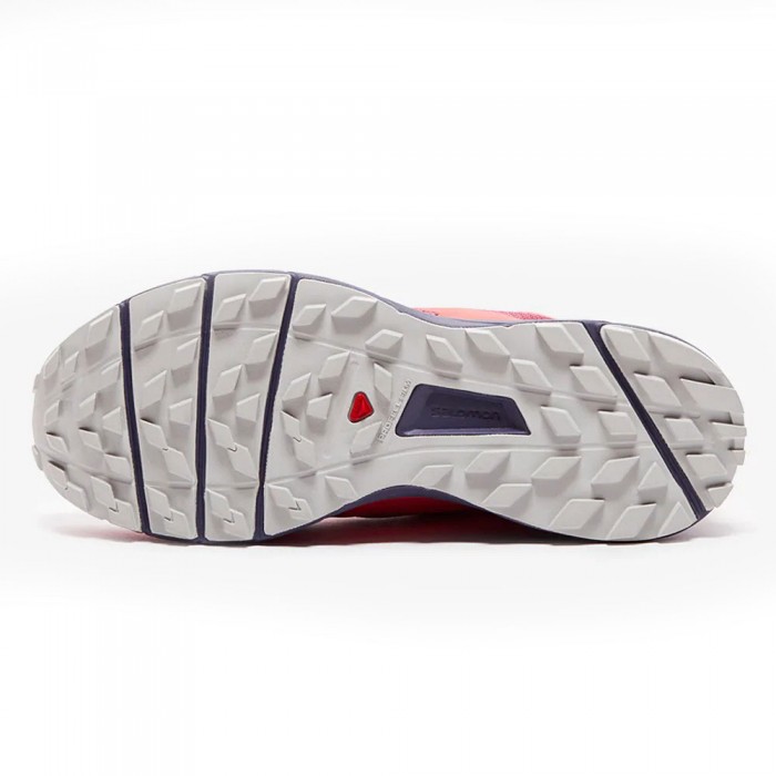 Incaltaminte Sport Salomon SENSE RIDE 2 L40676900 - 3