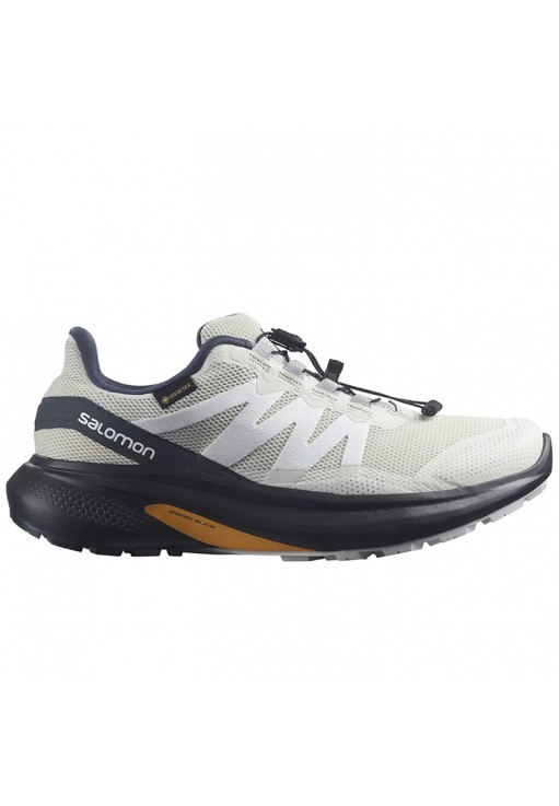 Кроссовки Salomon SHOES HYPULSE GTX W