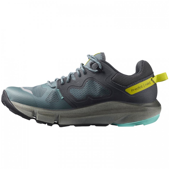 Incaltaminte Sport Salomon PREDICT HIKE GTX W L41600900
