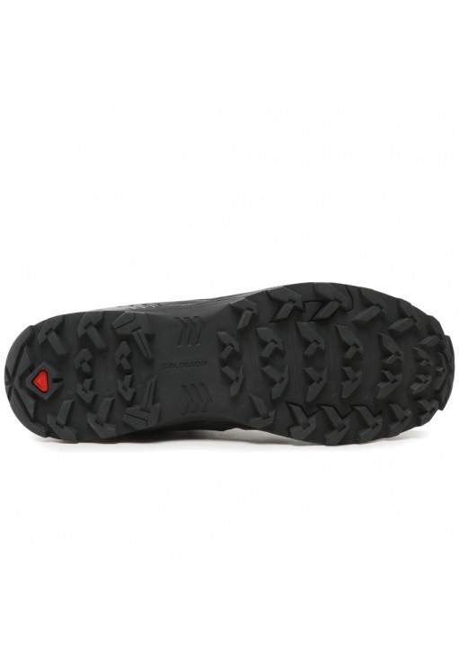 Ботинки Salomon X BRAZE MID GTX