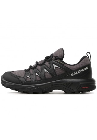 Кроссовки Salomon X BRAZE GTX W