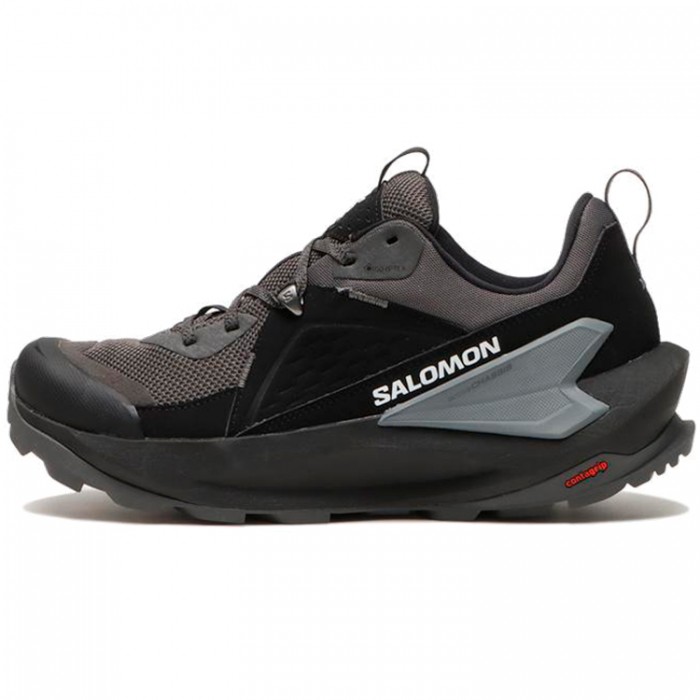 Incaltaminte Sport Salomon SHOES ELIXIR GTX