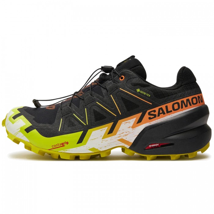 Incaltaminte Sport Salomon SHOES SPEEDCROSS 6 GTX L47465400
