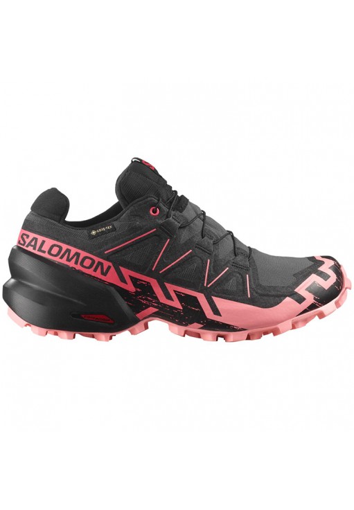 Кроссовки Salomon SPEEDCROSS 6 GTX W