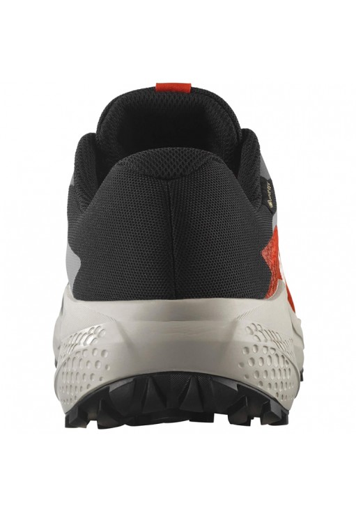 Кроссовки Salomon ALPHAGLIDE GTX M
