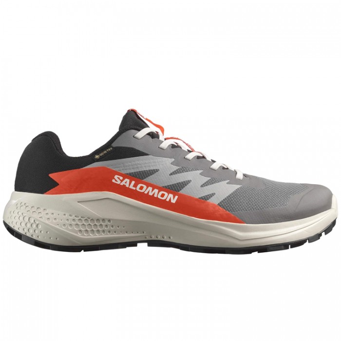 Кроссовки Salomon ALPHAGLIDE GTX M L47975300 - 3