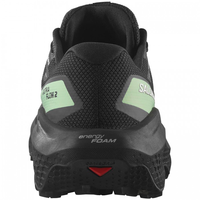 Кроссовки Salomon ULTRA FLOW 2 GTX L47981400 - 2
