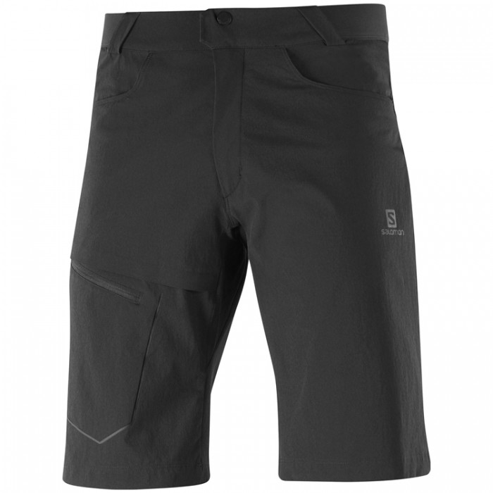 Шорты Salomon WAYFARER SHORTS M LC1718300