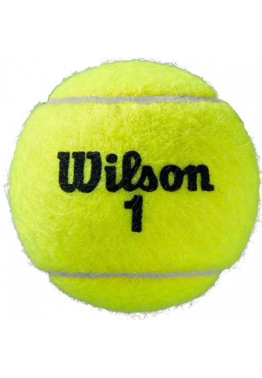 Set mingi p/u tenis 3 buc Wilson Roland Garros All Court