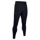 Брюки Under Armour 1352029-001 1352029-001
