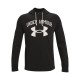 Толстовка Under Armour UA RIVAL TERRY BIG LOGO HD 1361559-001