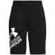 Шорты Under Armour UA Prototype 2.0 Logo Shorts 1361817-001