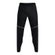 Брюки Under Armour UA AF Storm Pants 1373784-001