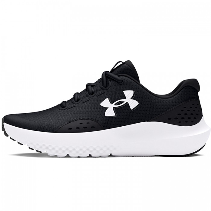 Кроссовки Under Armour UA BGS Surge 4 3027103-001