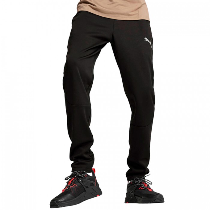 Брюки Puma EVOSTRIPE Warm Pants 68170401