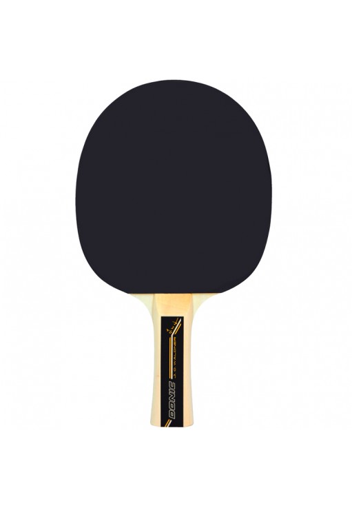 Ракетка для настольного тенниса Donic Waldner 300