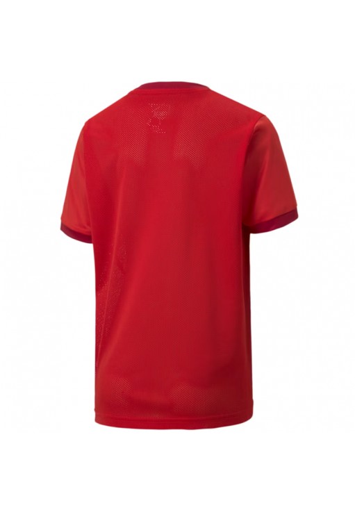 Футболка Puma teamGOAL 23 Jersey jr