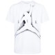Футболка Nike JDB FLIGHT ESSENTIALS JUMPMAN 95C122-001