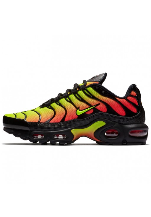 Кроссовки Nike WMNS AIR MAX PLUS TN SE