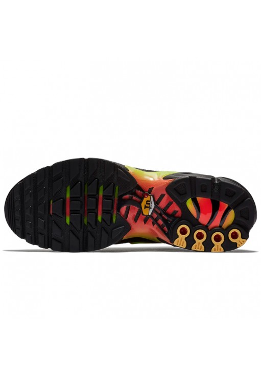 Кроссовки Nike WMNS AIR MAX PLUS TN SE