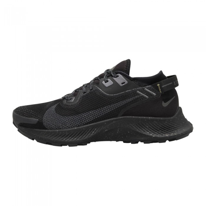 Incaltaminte Sport Nike W PEGASUS TRAIL 2 GTX CU2018-001
