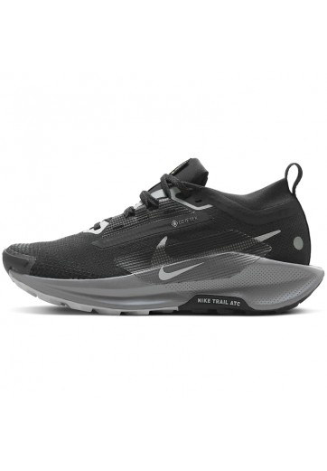 Incaltaminte Sport Nike W PEGASUS TRAIL 5 GTX