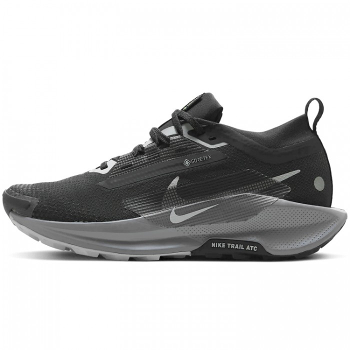 Incaltaminte Sport Nike W PEGASUS TRAIL 5 GTX FQ0912-001