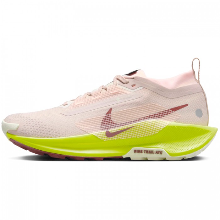 Incaltaminte Sport Nike W PEGASUS TRAIL 5 GTX FQ0912-101