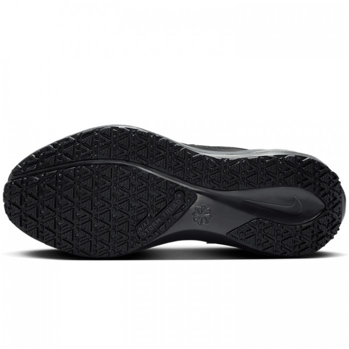 Кроссовки Nike W AIR ZM PEGASUS 41 GTX FQ1357-001 - 3