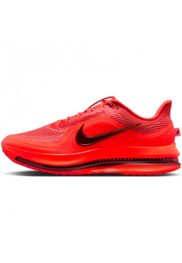 Кроссовки Nike PEGASUS PREMIUM