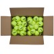 Set mingi pentru tenis 72 buc Wilson TRINITI CLUB TBALL 72 BALL BOX WR8201501001 - 2