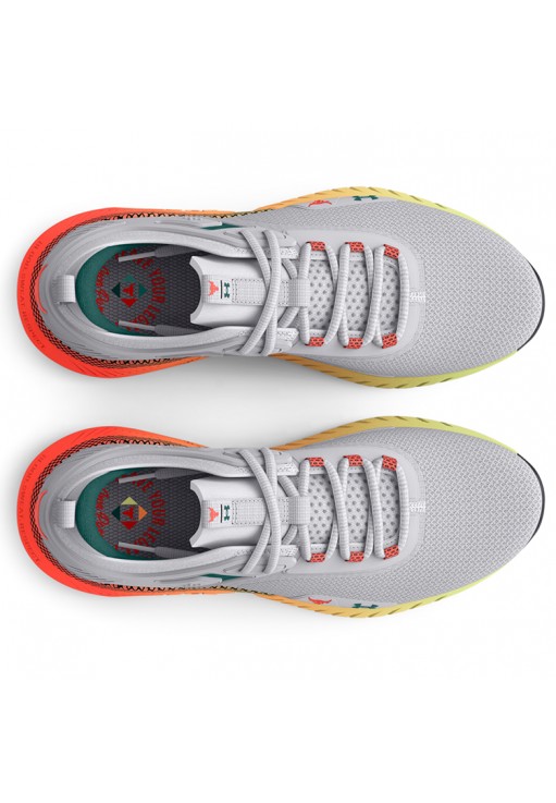 Incaltaminte Sport Under Armour UA W Project Rock 5