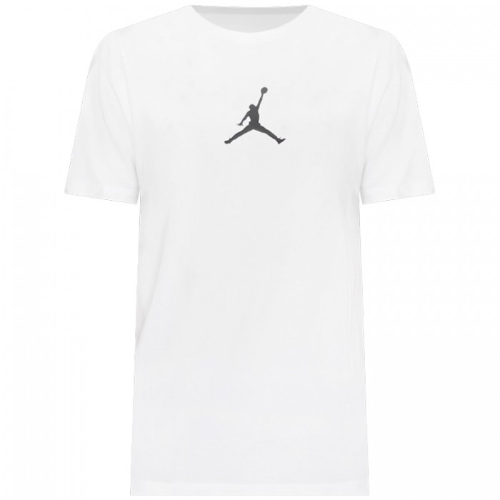 Футболка Nike M J JUMPMAN DFCT SS CREW CW5190-102 - 3