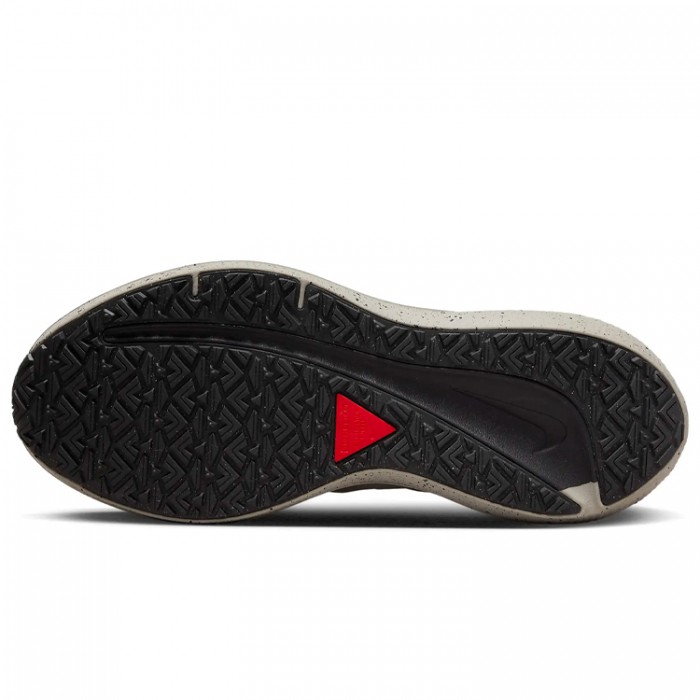 Incaltaminte Sport Nike WMNS AIR WINFLO 9 SHIELD DM1104-002 - 5