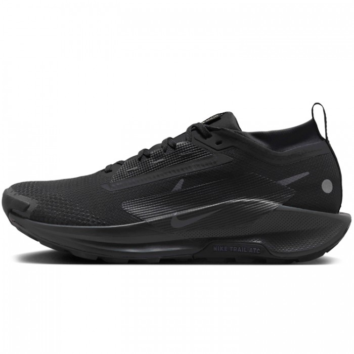 Incaltaminte Sport Nike PEGASUS TRAIL 5 GTX FQ0908-002