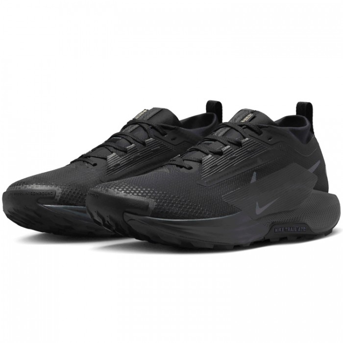 Incaltaminte Sport Nike PEGASUS TRAIL 5 GTX FQ0908-002 - 3